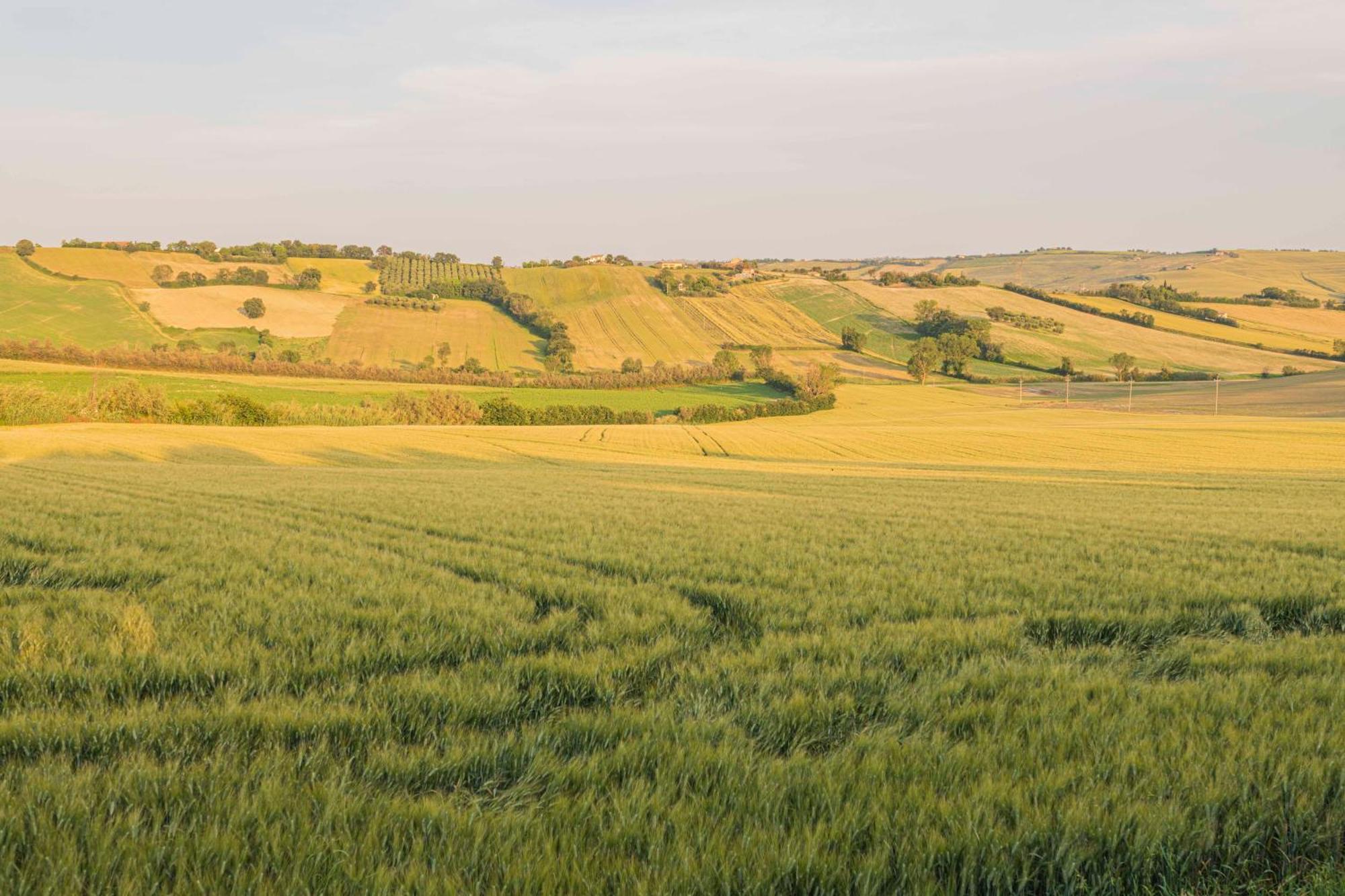 Agri Divin Amore San Costanzo Dış mekan fotoğraf