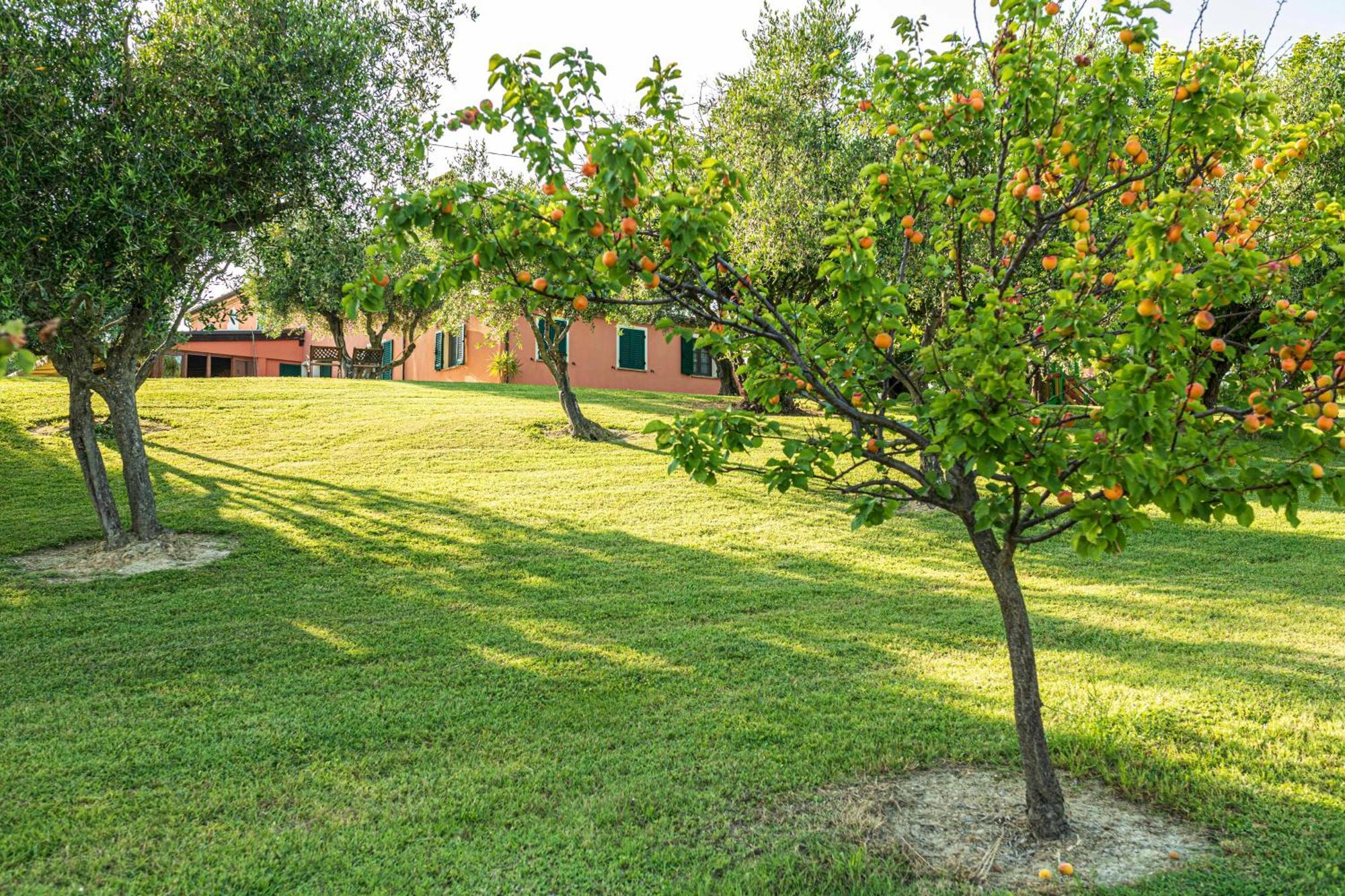 Agri Divin Amore San Costanzo Dış mekan fotoğraf