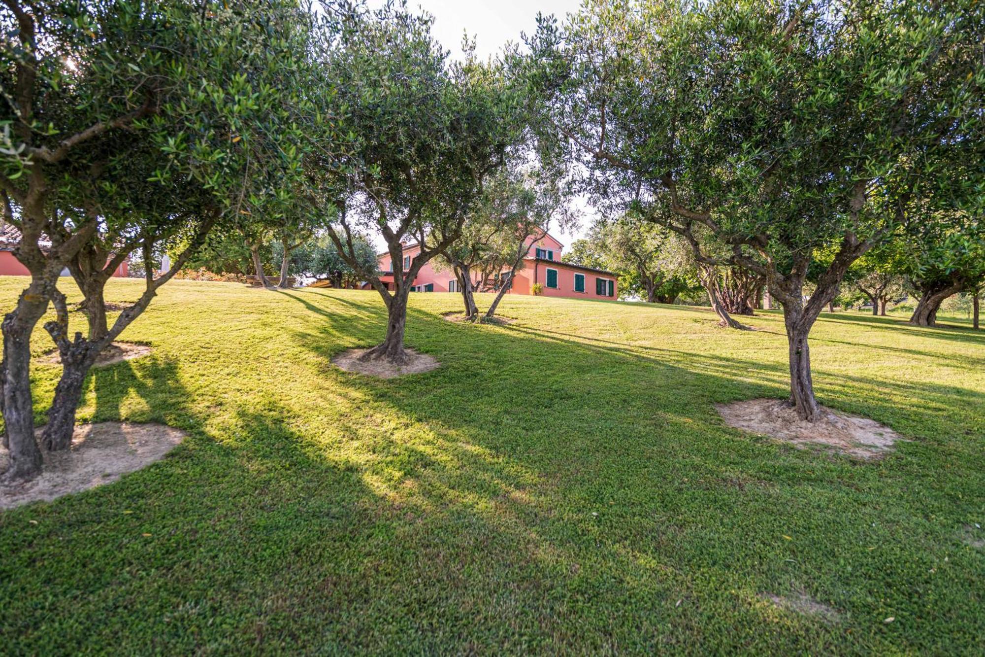 Agri Divin Amore San Costanzo Dış mekan fotoğraf